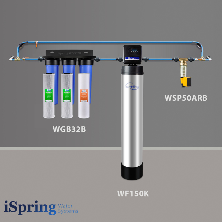 whole house water filter