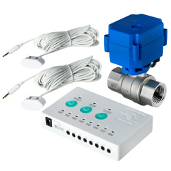 whole house water leak detector